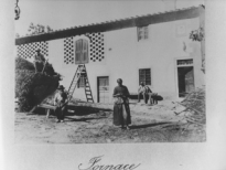 il prospetto frontale del podere fornace di usella, 1895.jpeg (31)